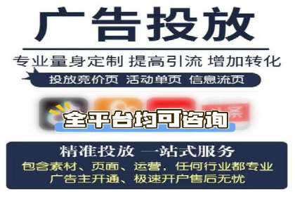 某企业通过SEM实现品牌与销售双增长的案例